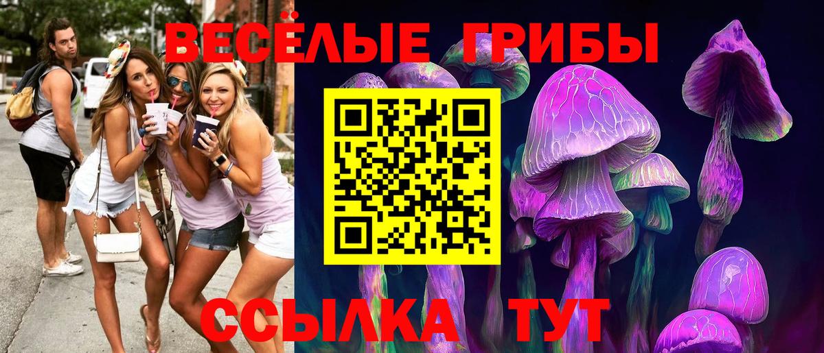 Псилоцибиновые грибы Psilocybine cubensis  Вход с VPN  Строитель 