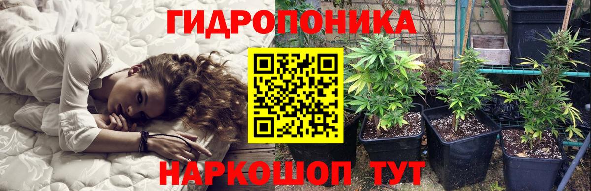 Шишки марихуана OG Kush Строитель